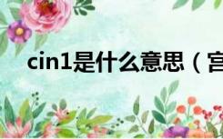 cin1是什么意思（宫颈cin1是什么意思）