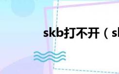 skb打不开（skinme打不开）