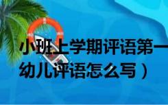 小班上学期评语第一学期（2014小班上学期幼儿评语怎么写）