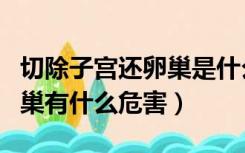 切除子宫还卵巢是什么样的手术（切除子宫卵巢有什么危害）