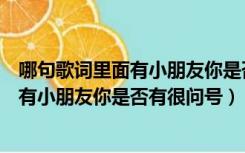 哪句歌词里面有小朋友你是否有很问号的歌（哪句歌词里面有小朋友你是否有很问号）