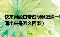 快来月经白带透明像蛋清一样是怎么回事（白带像月经一样涌出来是怎么回事）