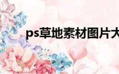 ps草地素材图片大全（草地ps素材）