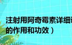 注射用阿奇霉素详细说明书（注射用阿奇霉素的作用和功效）