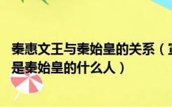 秦惠文王与秦始皇的关系（宣太后和秦始皇什么关系 宣太后是秦始皇的什么人）