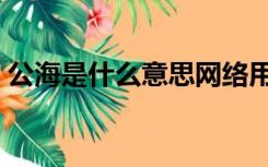 公海是什么意思网络用语（公海是什么意思）