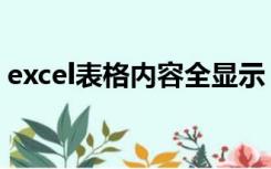 excel表格内容全显示（excel表格内容检索）