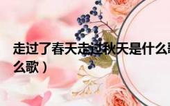 走过了春天走过秋天是什么歌曲（走过了春天走过秋天是什么歌）