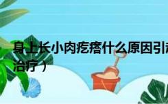 身上长小肉疙瘩什么原因引起的（身上长小的肉疙瘩该如何治疗）