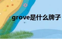 grove是什么牌子（grove韩国官网）