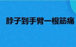 脖子到手臂一根筋痛（脖子扭到筋怎么办）