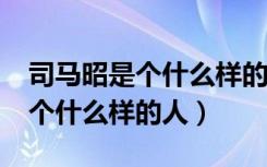 司马昭是个什么样的人?（历史上的司马昭是个什么样的人）