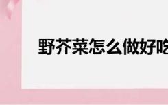 野芥菜怎么做好吃又简单（野芥菜）