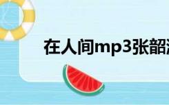 在人间mp3张韶涵（在人间mp3）