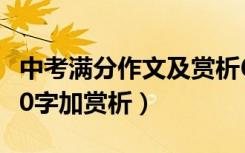 中考满分作文及赏析600字（中考满分作文600字加赏析）