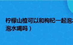 柠檬山楂可以和枸杞一起泡水喝吗（柠檬山楂枸杞可以一起泡水喝吗）