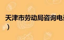 天津市劳动局咨询电话是多少（天津市劳动局）