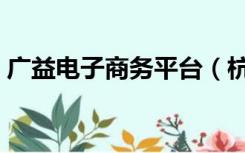 广益电子商务平台（杭州广益电子商务平台）