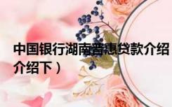 中国银行湖南普惠贷款介绍（咋办理有没有专业的普惠人员介绍下）