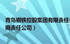 青岛钢铁控股集团有限责任公司电话（青岛钢铁控股集团有限责任公司）