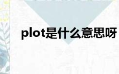 plot是什么意思呀（plot是什么意思）