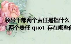 领导干部两个责任是指什么（领导班子和领导干部落实 quot 两个责任 quot  存在哪些问题和不足）