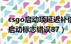 csgo启动项延迟补偿（无法设置延迟的自动启动标志错误87）