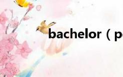 bachelor（perfectionist）