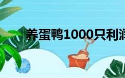 养蛋鸭1000只利润和成本（养蛋鸭）