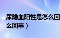 尿隐血阳性是怎么回事1十（尿隐血阳性是怎么回事）