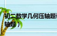 初二数学几何压轴题带答案（初二数学几何压轴题）