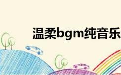 温柔bgm纯音乐（温柔的纯音乐）