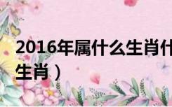 2016年属什么生肖什么星座（2016年属什么生肖）