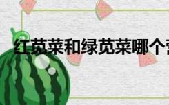 红苋菜和绿苋菜哪个营养好（绿苋菜图片）