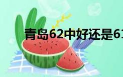 青岛62中好还是61中好（青岛62中）