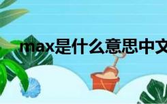 max是什么意思中文（max是什么意思）