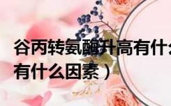 谷丙转氨酶升高有什么表现（谷丙转氨酶偏高有什么因素）