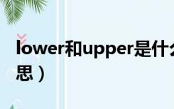 lower和upper是什么意思（upper是什么意思）