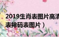 2019生肖表图片高清生肖卡猪年（2019生肖表排码表图片）