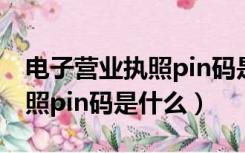 电子营业执照pin码是什么东西（电子营业执照pin码是什么）