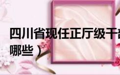 四川省现任正厅级干部公示（四川省副省长有哪些）