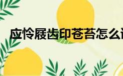 应怜屐齿印苍苔怎么读（应怜屐齿印苍苔）