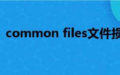 common files文件损坏（common files）