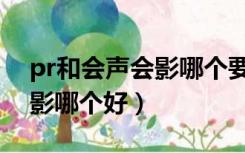 pr和会声会影哪个要求配置高（pr和会声会影哪个好）