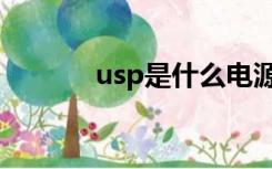 usp是什么电源（usp是什么）