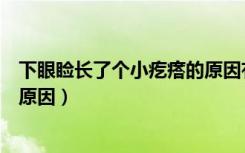 下眼睑长了个小疙瘩的原因有哪些（下眼睑长了个小疙瘩的原因）