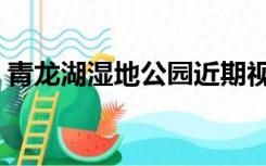 青龙湖湿地公园近期视频（青龙湖湿地公园）