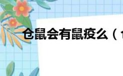 仓鼠会有鼠疫么（仓鼠会不会有鼠疫）