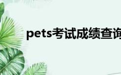 pets考试成绩查询入口（pets考试）