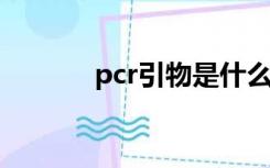 pcr引物是什么（引物是什么）